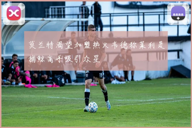莫兰特渴望加盟热火韦德称莱利是捕鲸高手吸引众星