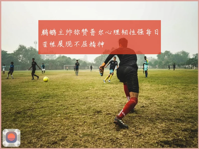 鹈鹕主帅称赞普尔心理韧性强每日苦练展现不屈精神