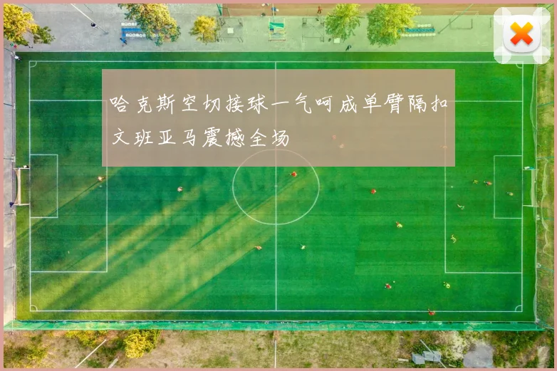 哈克斯空切接球一气呵成单臂隔扣文班亚马震撼全场