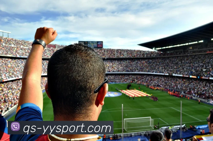 多媒体互动体验